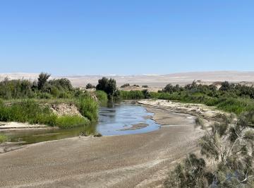 Terreno agrícola , Ica · Hermoso Terreno Agrícola de 305 Ha Ocucaje, Ica $20,000 Dólares por Ha