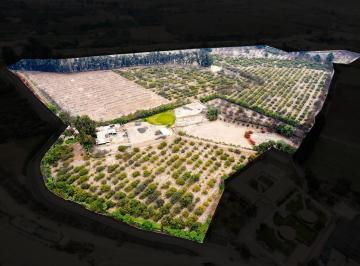 Terreno / Lote · 27400m² · Venta de Fundo Conejo, Sayán a 1 Hora Chancay