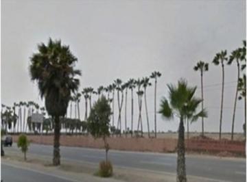 Terreno / Lote · 50000m² · Alquilo Terreno Comercial en Av Panamericana Sur, Lurin