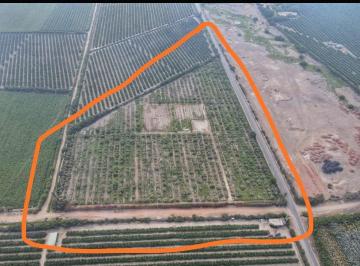 Terreno / Lote · 200m² · 3 Dormitorios · 44 Estacionamientos · Vendo Amplio Terreno Agricola, Urbano, Industrial N Fundo Alto Laran Chincha Ica