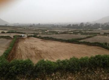 Terreno / Lote · 2586m² · Vendo Terreno en Calle Finca Maria 1, Pachacamac
