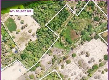 Terreno / Lote · 60267m² · Vendo Terreno en Calle Panamericana Sur 1, Salas