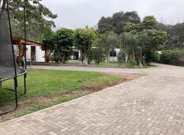 Terreno / Lote · 2500m² · Vendo Gran Terreno Vta Al Golf, en Alam. José León Barandiaran 4, La Molina