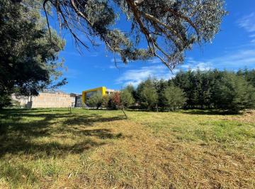Terreno / Lote · 320m² · Vendo Terreno en Ciudad de Cajamarca