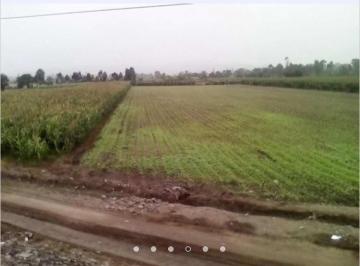 Terreno / Lote · 26000m² · Vendo Gran Terreno Agrícola en Parcela Km 85.5, Mala