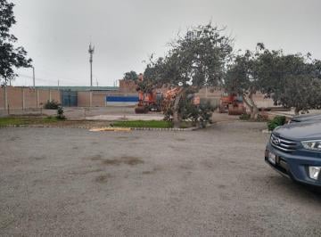 Local comercial · 6300m² · 4 Dormitorios · Se Alquila Local de 6500 m² en Pachacamac