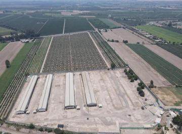 Terreno / Lote · 70000m² · I - 485 C Terreno en Chincha Baja - Venta
