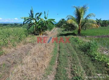 Terreno / Lote · 10000m² · Terreno Rural Cerca a Tarapoto