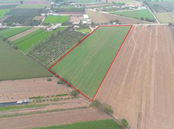 Terreno / Lote · 14830m² · Terreno en Venta 1.5 Hectáreas en Quilmaná - Cañete