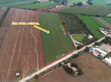 Terreno / Lote · 14830m² · Terreno en Venta 1.5 Hectáreas en Quilmaná - Cañete