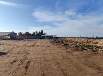 Terreno / Lote , Arequipa · Terreno 5 Hectáreas en Venta – San Camilo, La Joya