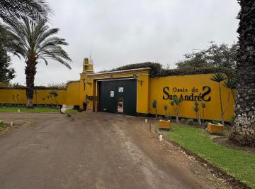 Terreno / Lote , Cañete · Venta de Terreno en San Andres