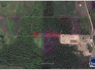 Terreno / Lote · 96000m² · Terreno Agricola Ucayali