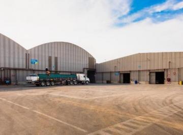 Local comercial · 28000m² · 50 Dormitorios · 60 Estacionamientos · Vendo Almacen Industrial Logística Av Nestor Gambetta Callao