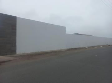 Nave industrial , Lima · Oportunidad - Alquiler Local Industrial - Almacenes - Naves Industriales - Lurin