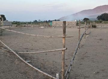 Terreno / Lote · 500m² · Alquiler ¡Gran Oportunidad de Terreno de 500 m² Cerca Al Puerto de Chancay