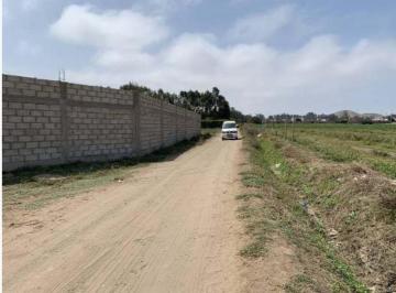 Terreno / Lote , Cañete · Terreno Cercado Bujama Alta