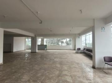 Local comercial · 800m² · Local Comercial en Santa Anita