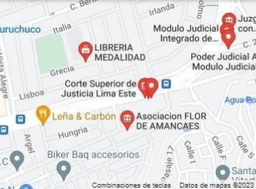 Terreno / Lote · 260m² · Terreno Inscrito en Rrpp Zona de Alto Movimiento Comercial