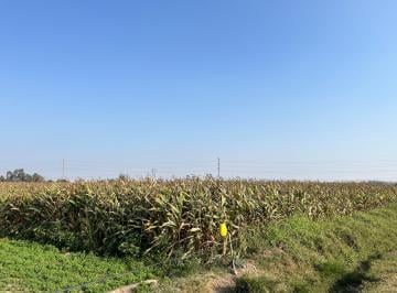 Terrenos Colindantes · Ica, Santiago 5,000,0001 y 5,566.1168 Ha Full Arándanos! Oferta $7,000 por Ha