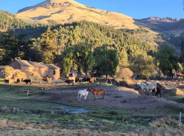 Terreno / Lote · 100000m² · 1000 Dormitorios · 1000 Estacionamientos · Vendo Hermosa Propiedad en El Valle Sagrado de Los Incas, Cusco (Yellowstone Park del Peru)
