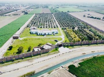 Casa de campo de 9 habitaciones, Cañete · Casa de Campo, con 2 Bungalows y Casa de Huespedes, con Zona de Sembrio