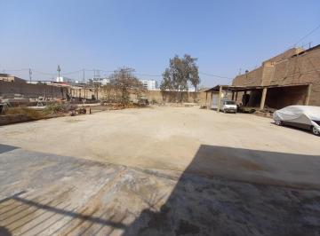 Terreno / Lote · 1200ha · Se Vende Terreno de 1200 m² en Ciruelos - San Juan de Lurigancho
