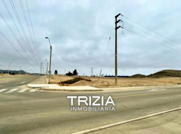 Terreno / Lote , Cañete · Venta de Terreno Industrial - Chilca Km.60 Al Sur de Lima.