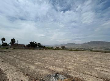 Terreno agrícola , Cañete · Venta de Terreno Azpitia