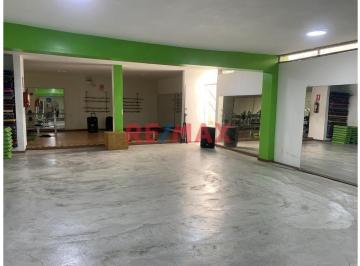 Local comercial · 380ha · Oportunidad Única de Alquiler Comercial en El Corazón del Callao!