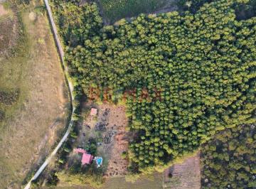 Terreno / Lote · 6m² · 4 Dormitorios · 1 Estacionamiento · En Venta: Fundo - Casa y Bosque en Moyobamba