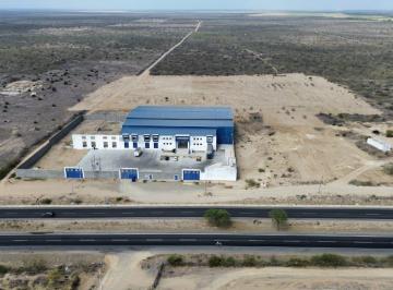 Terreno / Lote · 1m² · Vendo 10 Ha en La Carretera Piura - Sullana - Jguerrero
