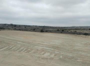 Terreno / Lote · 4000m² · Alquiler de Terreno Carretera Piura Sullana Km 7 - Dpeña