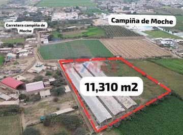 Terreno / Lote · 11310m² · Terreno en Moche en Venta 11,310 m²