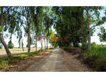 Terreno / Lote , Chincha · Terreno en Venta en El Carmen, Chincha