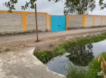 Terreno agrícola , Cañete · Ocasion Terreno en Venta Mala