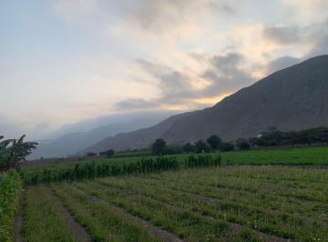 Terreno / Lote , Lima · Vendo Terreno en Pachacamac