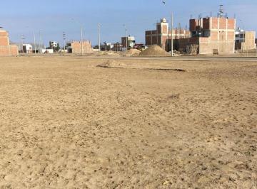 Terreno / Lote · 3ha · Terreno en Venta Chilca La Alameda Sur 90 m²