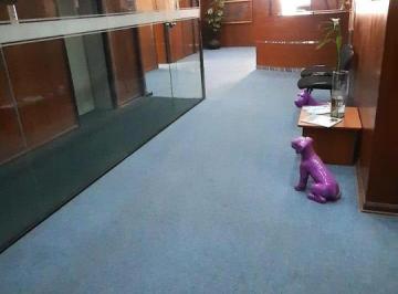 Oficina comercial · 418ha · 15 Dormitorios · 1 Estacionamiento · San Isidro, Alquiler Oficina Clasica Moderna