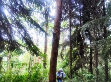 Terreno / Lote · 56m² · Venta Terreno 56.06 Ha Sector Santa Cruz - Provincia Oxapampa