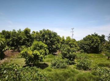 Terreno / Lote , Arequipa · Terreno Para Casa Campo en Venta en La Joya con Plantas de Palta y Cochinilla