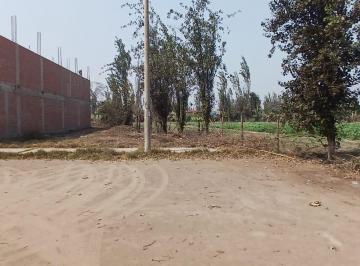 Terreno / Lote · 173m² · Venta de Terreno en La Arboleda 1era Etapa - Carabayllo