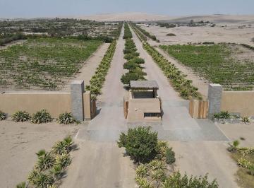Terreno / Lote · 2507ha · Venta Terreno en Acca Paracas – Pisco – Hermoso Condominio