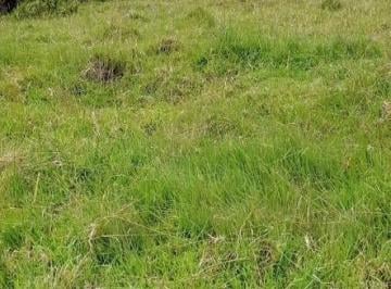 Terreno / Lote · 741ha · En Venta – Amplio Terreno en Esquina Grapanazú, Oxapampa