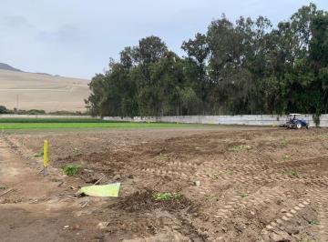 Terreno / Lote , Huaral · Terrenos Industriales en Chancay