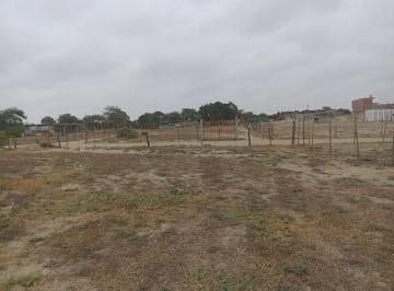 Terreno / Lote · 500m² · Vendo Terreno en Los Ejidos de Huan, Piura (A 100 m de La Carretera Los Ejidos)