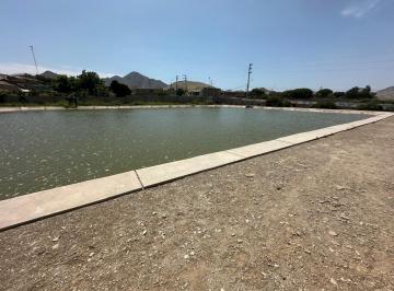 Terreno / Lote · 180000m² · Vendo Fundo con Terreno Agricola en Fundo San Andres, Predio Granados, Huaral