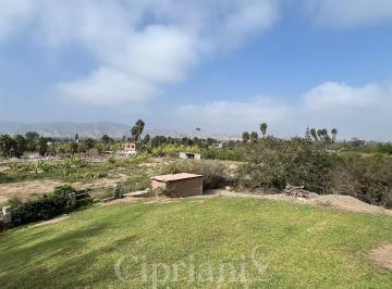Casa de 4 habitaciones, Cañete · San Antonio: Amplia y Hermosa Casa de Campo en Venta ⁣⁣⁣⁣⁣