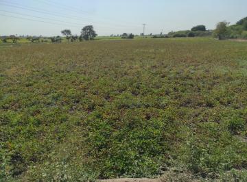 Terreno / Lote , Ferreñafe · Venta de Terreno de 03 Hectáreas en Ferreñafe - Lambayeque