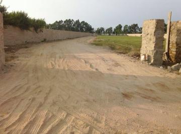 Terreno / Lote · 10000m² · Se Vende Terreno en Bujama Alta